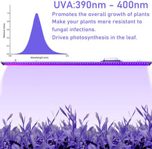 โหลดรูปภาพลงในเครื่องมือใช้ดูของ Gallery คลังสินค้าประเทศไทย CRETIVITY CT40W UV+IR LED Grow Light Bar